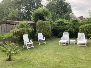 Blick in den Garten "Urlaub unter Palmen"