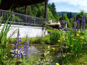 Ferienhaus Anlage