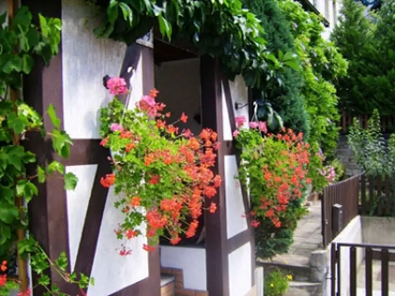 Haus Haus