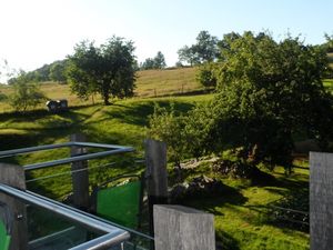 Garten/Steuobstwiese vom Glasgiebel aus