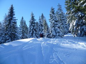 Auch im Winter ist es bei uns herrlich, hier eine Skitour in den Bergen