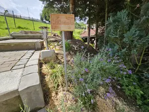 Deatil Treppe Eingang Deatil Treppe Eingang