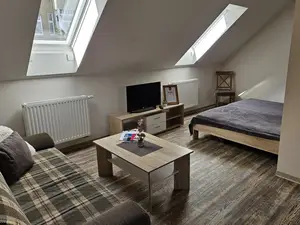 Wohn-Schlafraum Apartment 6