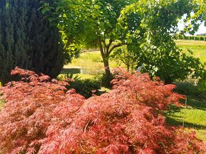 Gartenblick