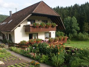 Hausansicht mit Bauerngarten