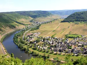 Blick auf Ernst Blick auf Ernst