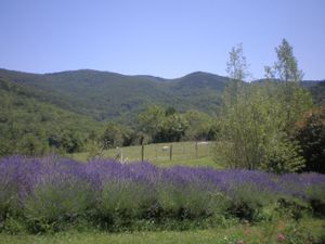 G1245 - Gîte du Mouscaillou