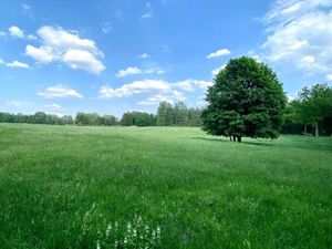 Blick auf die Weide