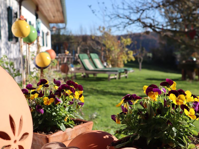 Herbst im Sonnenhaus