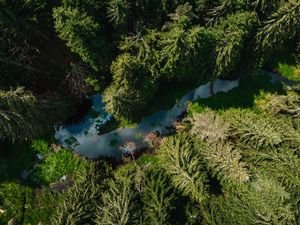 Bachlauf am Ende des Grundstücks von Oben