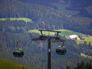 Feldbergbahn mit Gondeln -Sommer-