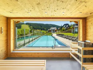 Wellness Wellness