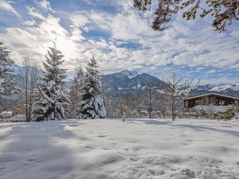 Garten mit Blick auf das Kitzbüheler Horn