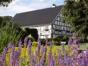 Bauernhof Pension Schneider - Garten