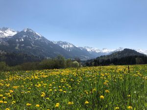 Frühling im BERGLAND