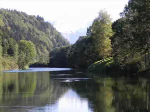 Auwaldsee