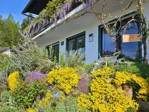 Bienenfreundlicher Garten