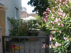 Bilck durch den Garten