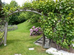 Ferienwohnung Eggarter -  Weinreben