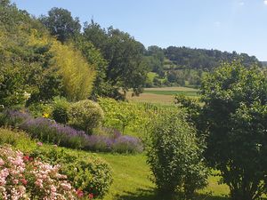 Blick in Garten