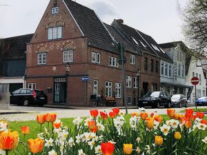 Tulpen im Stadtfeld vor dem Eckbäckerhaus