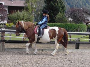 Ponyreiten am Hof möglich