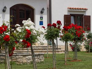 Garden Villa Linet