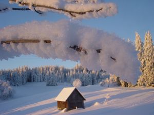 Winterlandschaft