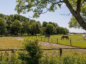 Aussicht über die Weiden