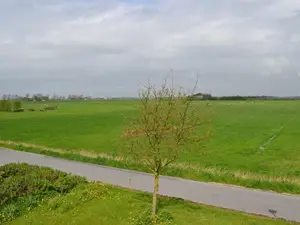 Blick aus der Wohnung