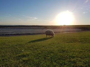 Sonnenuntergang am Deich