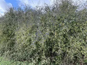 IMG_5728 IMG_5728