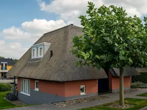 house house