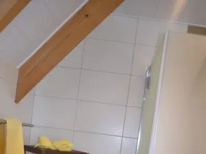 Ferienhaus Star Dusche