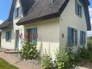 Bild 4 Bild 4
