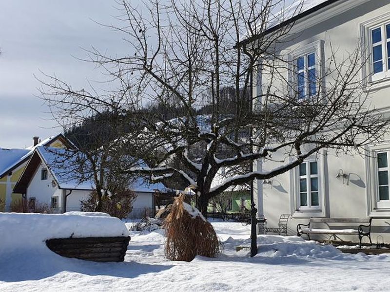 der weitläufige Garten im Winter