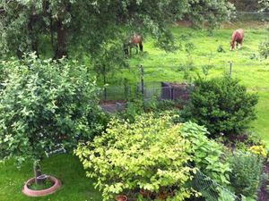 Blick von der Terrasse