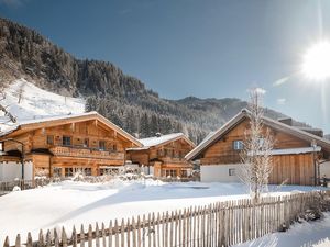 Birnbaum Chalets Grossarl im Winter