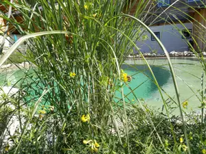 Chaletgarten mit Naturbadesee