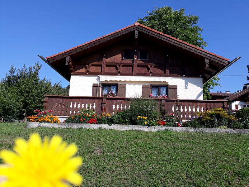 Vorderansicht Ferienhaus