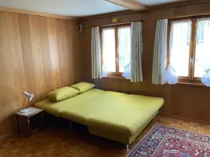 Wohnzimmer mit Schlafsofa 