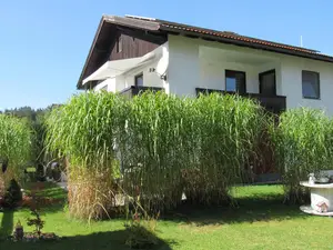 Garten Garten