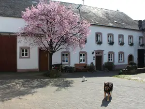 Bauernhaus Bauernhaus