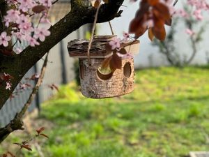 Garten des Ferienhaus Inge in Haltern am See