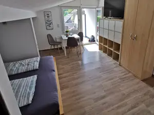 geräumiger Wohnraum mit Fernseher