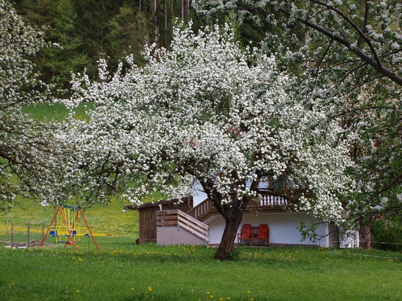 Außenansicht des Gebäudes. im Frühling