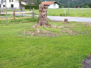 Vor dem Haus Blickrichtung Westen