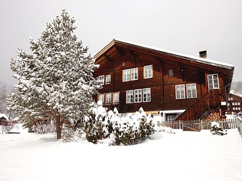 Chalet Winter