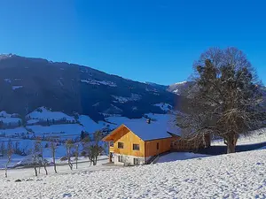 Winter Naturchalet Forster