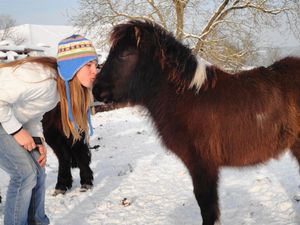 Mädchen und Pony die erste große Liebe